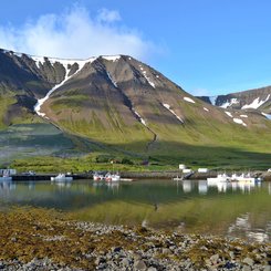 Hafen von Flateyri - Westfjorde