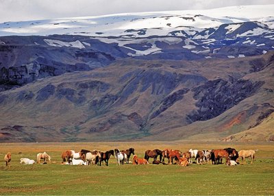 Snæfellsnes - West-Island