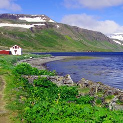 Hesteyri - Westfjorde