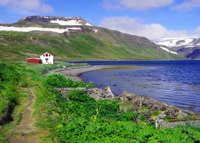 Hesteyri - Westfjorde