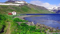 Hesteyri - Westfjorde