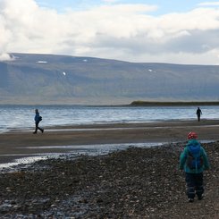 Hornstrandir - Westfjords