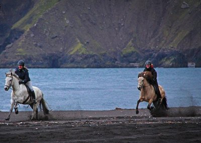 Reiten - Island