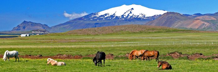 Ideal für einen Reiturlaub in Island - Die Halbinsel Snæfellsnes mit dem Gletschervulkan Snæfellsjökull