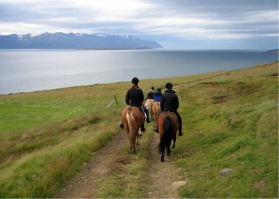 Eyjafjörður - Nord-Island