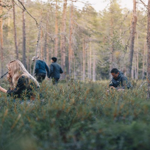 Der Natur ganz nah in Schwedisch-Lappland