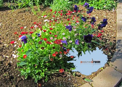 Blumen - Akureyri Blumen - Akureyri