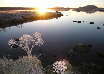 Þingvellir - Süd-Island