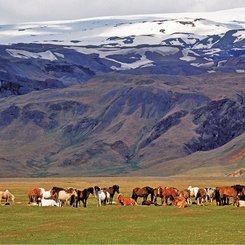 Snæfellsnes