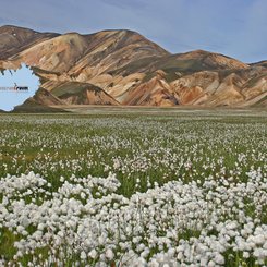 Landmannalaugar - Südliches Hochland