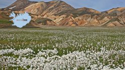 Landmannalaugar - Südliches Hochland