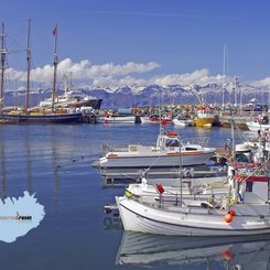 Fischerboote - Husavik