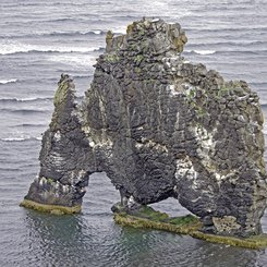 Hvitserkur - Nord-Island