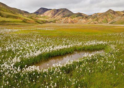 Landmannalaugar - Südliches Hochland