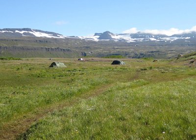 Hornstrandir - Westfjorde