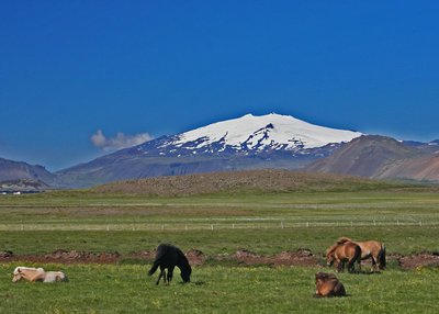 Snæfellsnes - West-Island