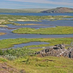 Þingvellir - Südwest-Island