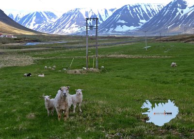 Önundarfjorður - Westfjorde Önundarfjorður - Westfjorde