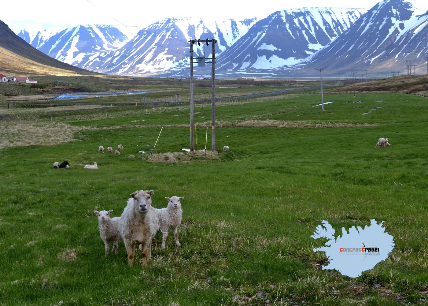 Önundarfjorður - Westfjorde Önundarfjorður - Westfjorde