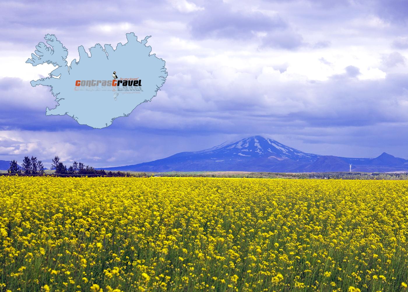Hekla - Süd-Island Hekla - Süd-Island