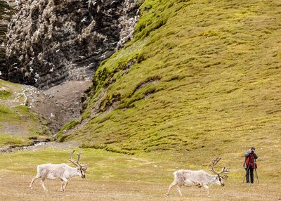 Spitzbergen