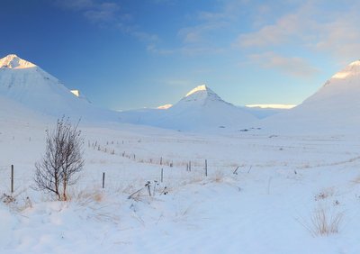 Svarfaðardalur - Nord-Island