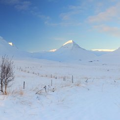 Svarfaðardalur - Nord-Island