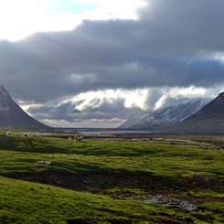 Hóll - Westfjorde