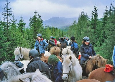 Þingvellir - Südwest-Island