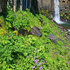 Svartifoss - Südost-Island