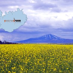 Hekla - Süd-Island