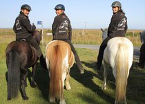 Egilsstaðir 1 - Südwest-Island
